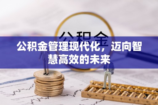 民众公积金管理现代化，迈向智慧高效的未来