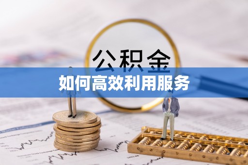 民众如何高效利用服务