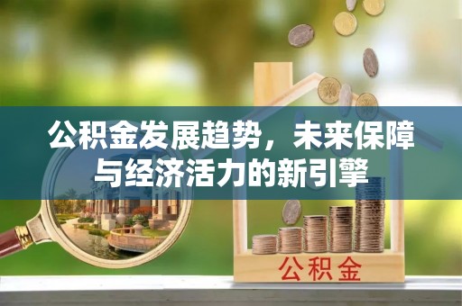 民众公积金发展趋势，未来保障与经济活力的新引擎