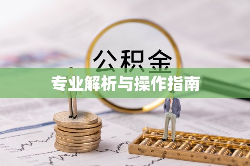 民众专业解析与操作指南