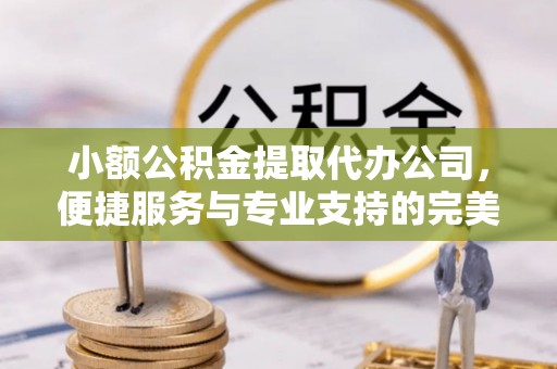 民众小额公积金提取代办公司，便捷服务与专业支持的完美结合