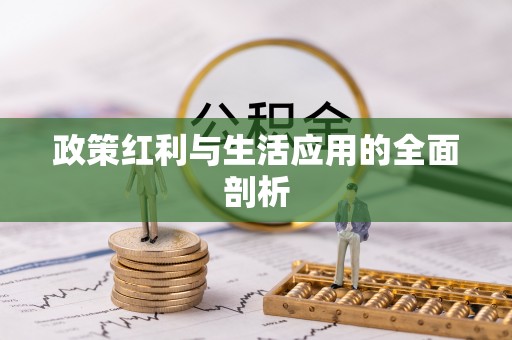 民众政策红利与生活应用的全面剖析
