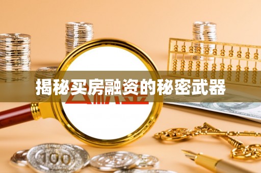 民众揭秘买房融资的秘密武器